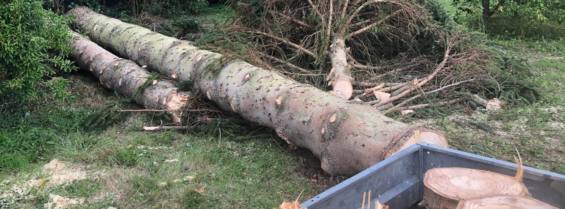 Abattage arbre Crèvecœur-le-Grand
