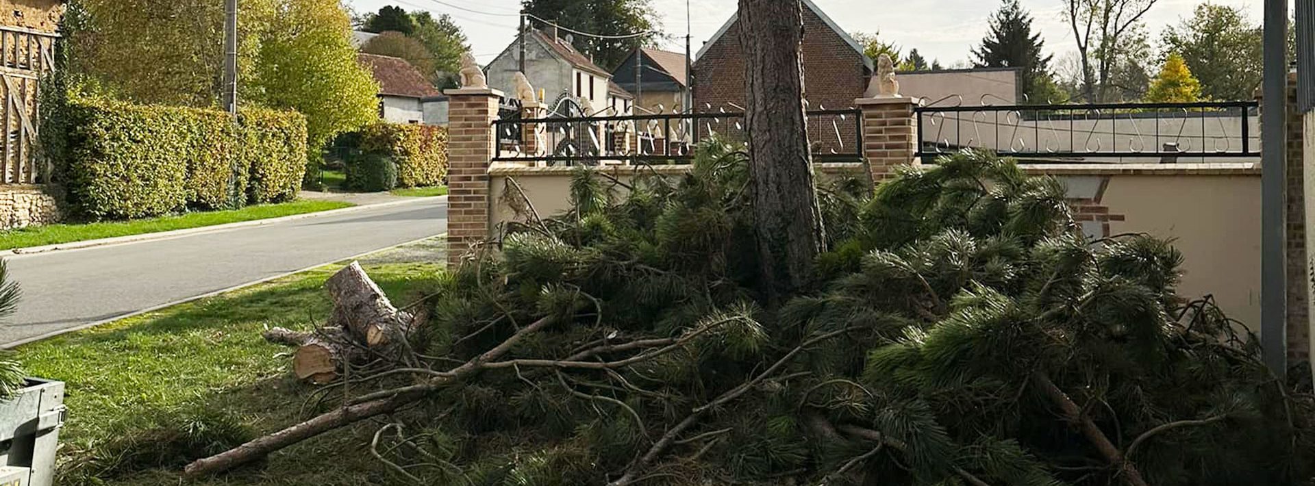 Élagage arbre Conty